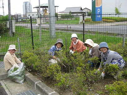 院庭の除草