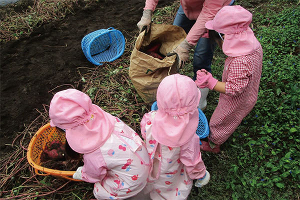 第29号(令和6年秋)